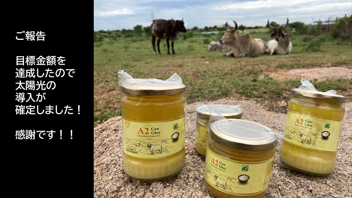 スタートから20日目で目標額を達成しました。ありがとうございました！