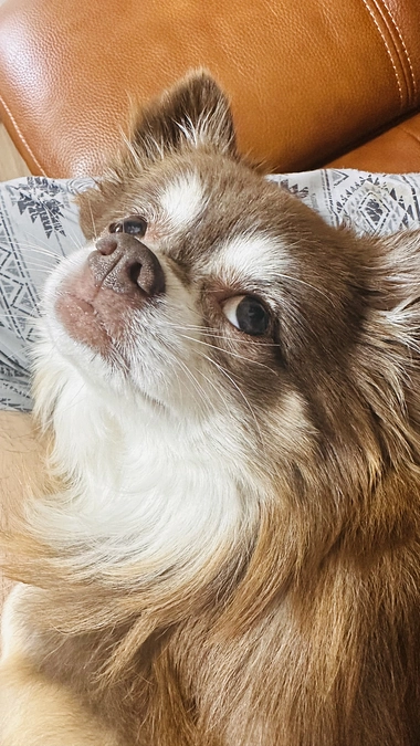 今日は少し落ち着いていますが。。。