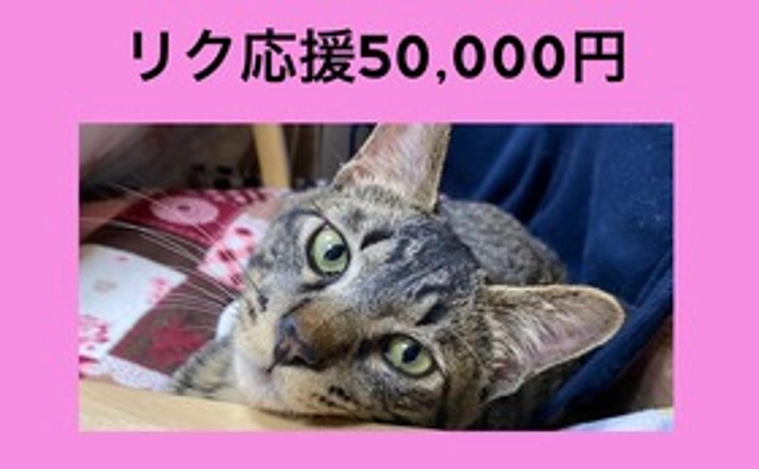 リク応援50,000円