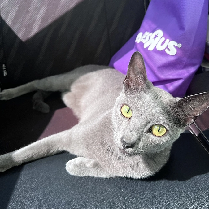 【残り8️⃣日💦】投薬74日目【通院してきました！】