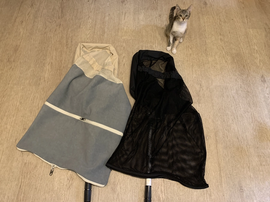 『にゃっちnet』プロジェクトスタートしました！