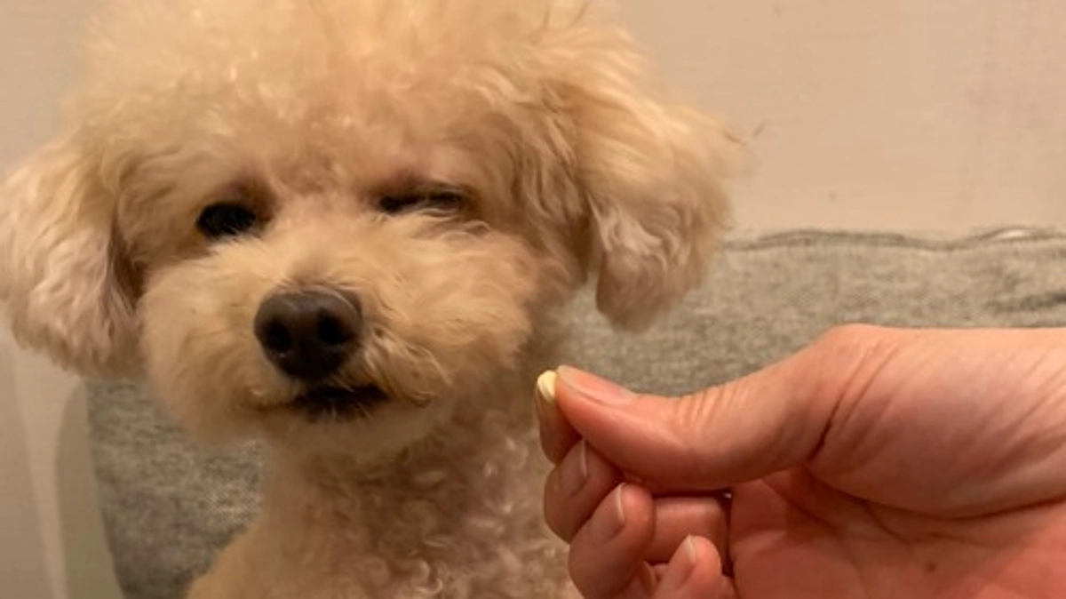 お薬イヤイヤイヤ