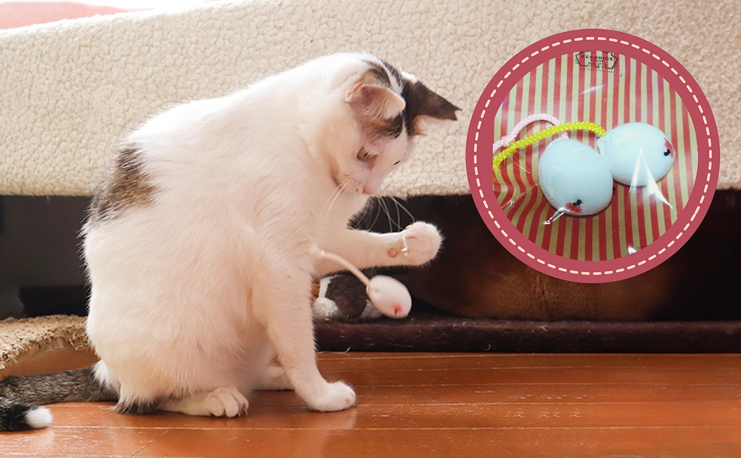 （11.20追加！）【猫のおもちゃ】手作りちゅーちゅーエッグ（2個セット）で応援！