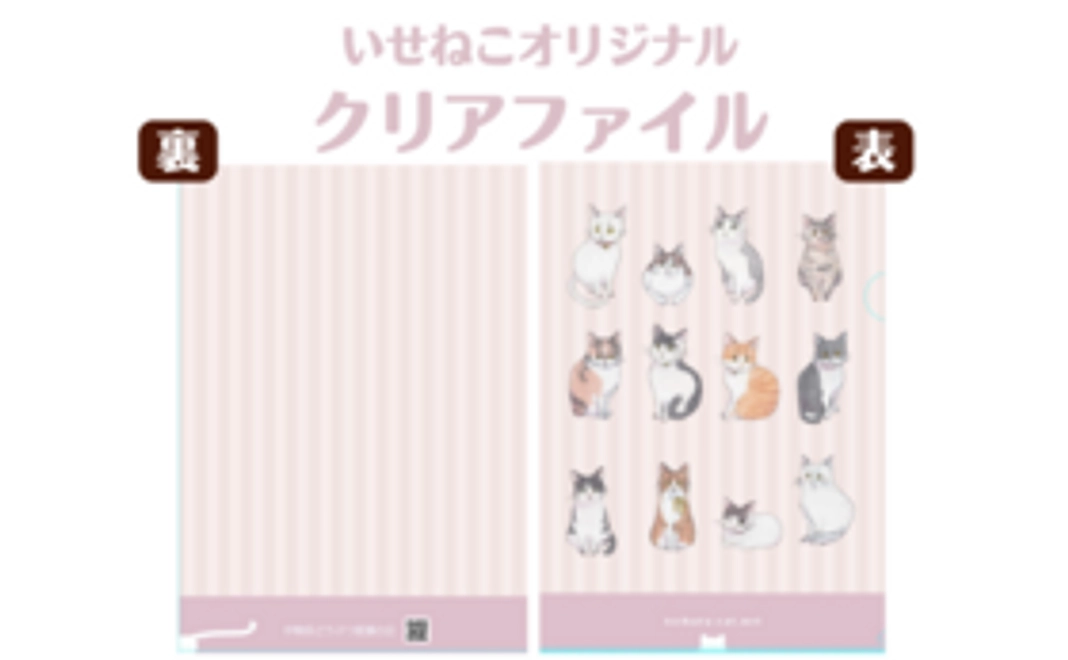 いせねこ応援コース｜10,000円