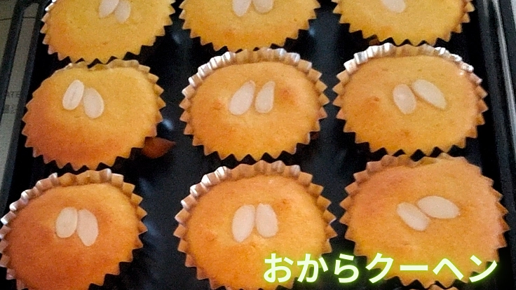 保存料、粉、使わない…おからの焼菓子…温度管理の出来る販売機の購入