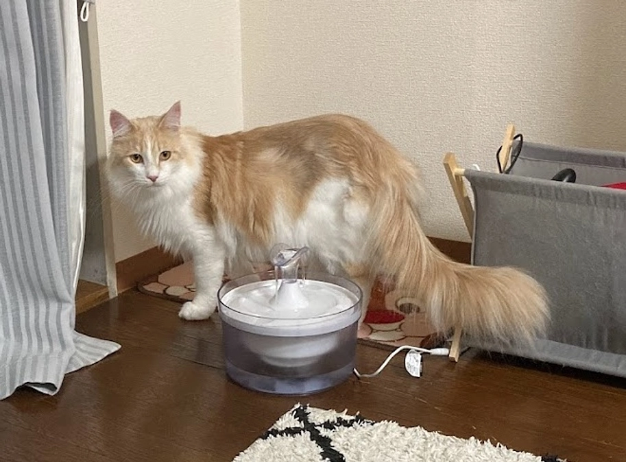 12/15経過観察30日目・今までの治療費をまとめました！