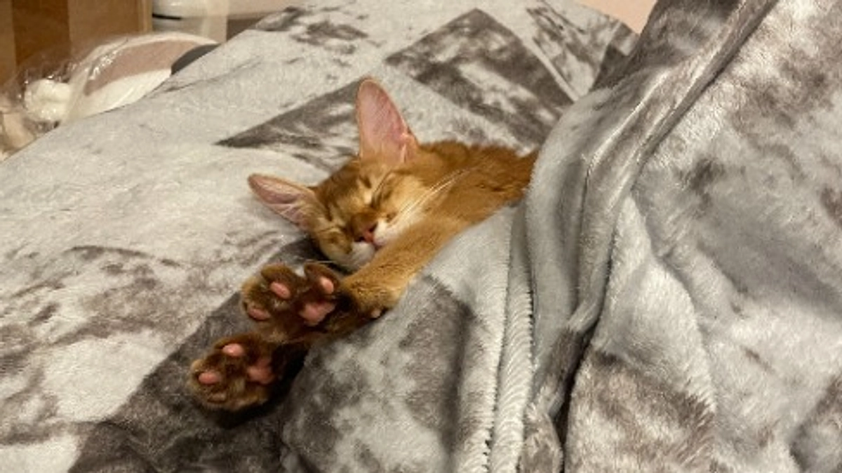 ★2023年12月1日：投薬73日目★