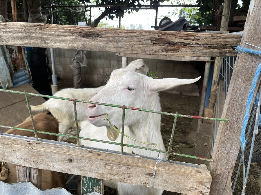 20240221_福祉施設としての指定を受ける本申請提出が終わり、修正等を行っています