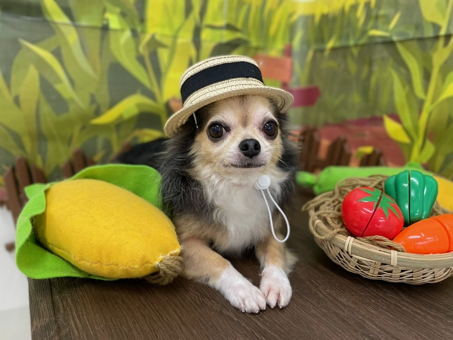 【終了報告】ご支援いただきまして本当にありがとうございました😭（かなりの長文です💦）