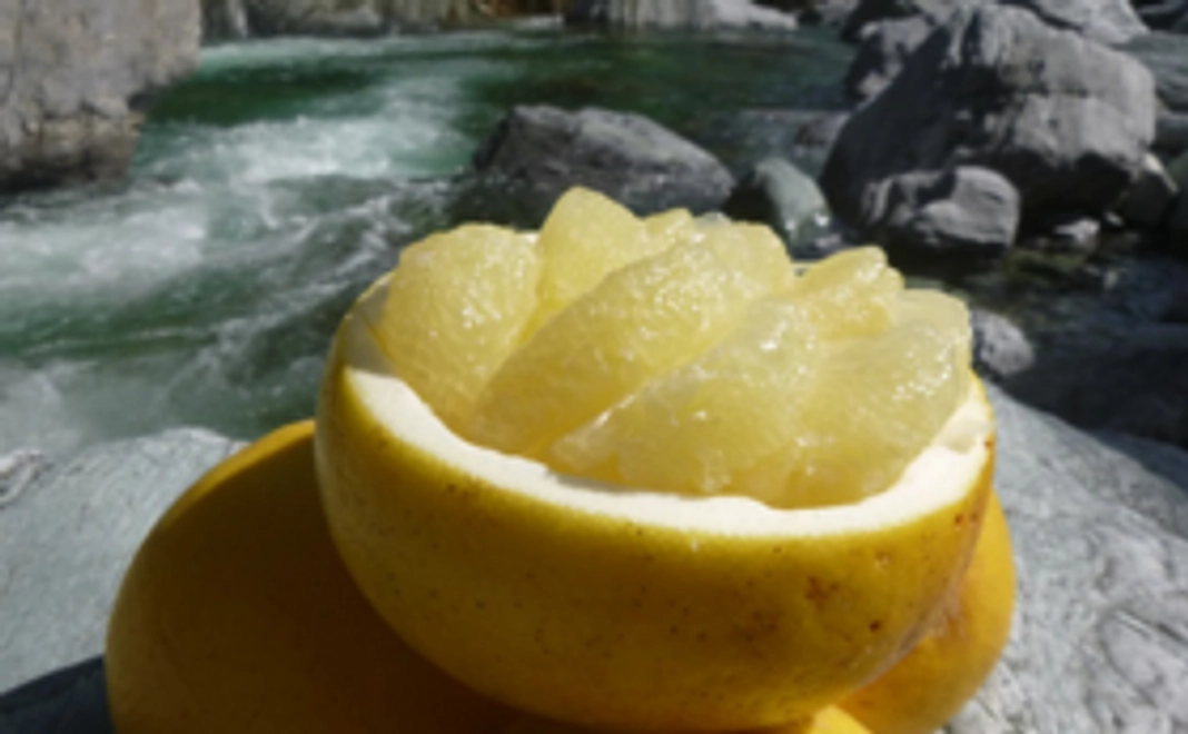 仁淀川の旬の新鮮お野菜＆ぶんたんセット