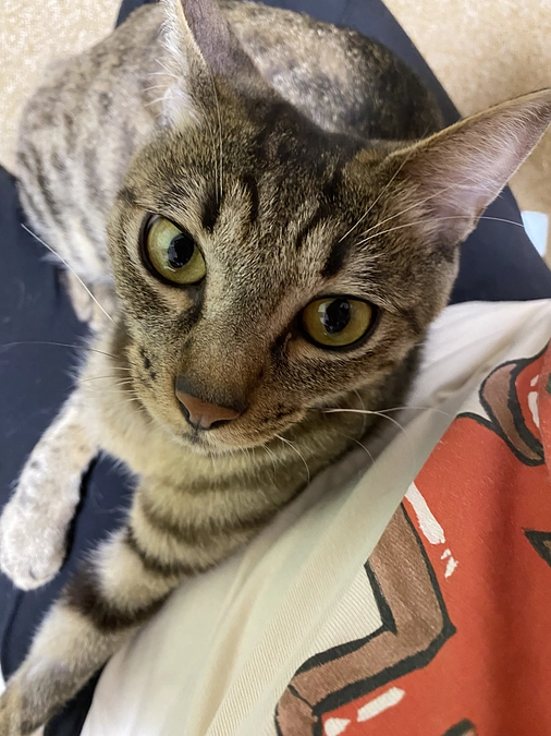 9月26日 クラファン最終日