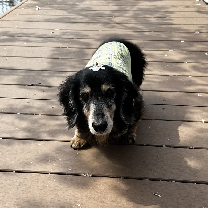 目標額35万円達成しましたッッ！＆ネクストゴールを設けさせていただきました！