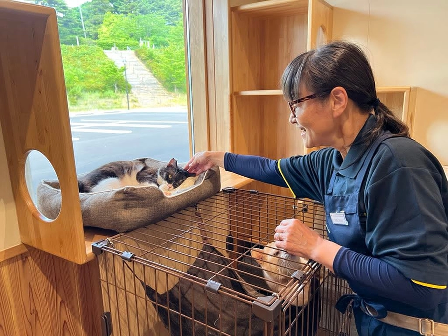 朝日新聞が運営する「Ｓｉｐｐｏ」～能登半島被災猫、香取章子が寄稿した第２回目の記事が公開されました