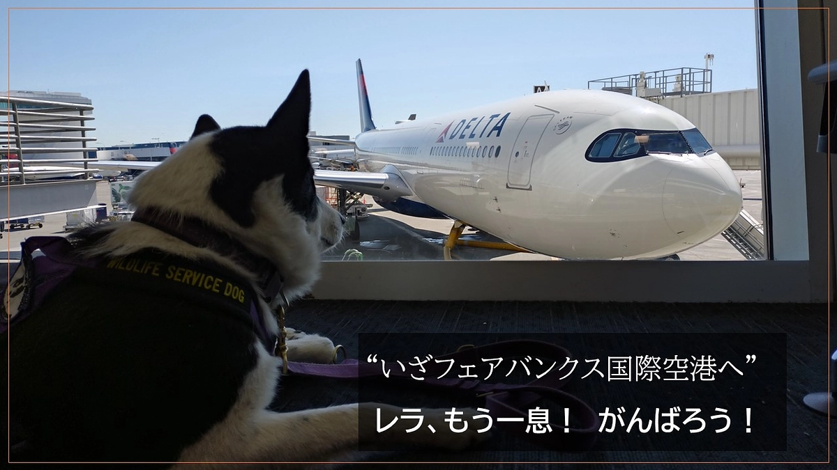 ”いざフェアバンクス国際空港へ” 　レラ、もう一息！がんばろう！