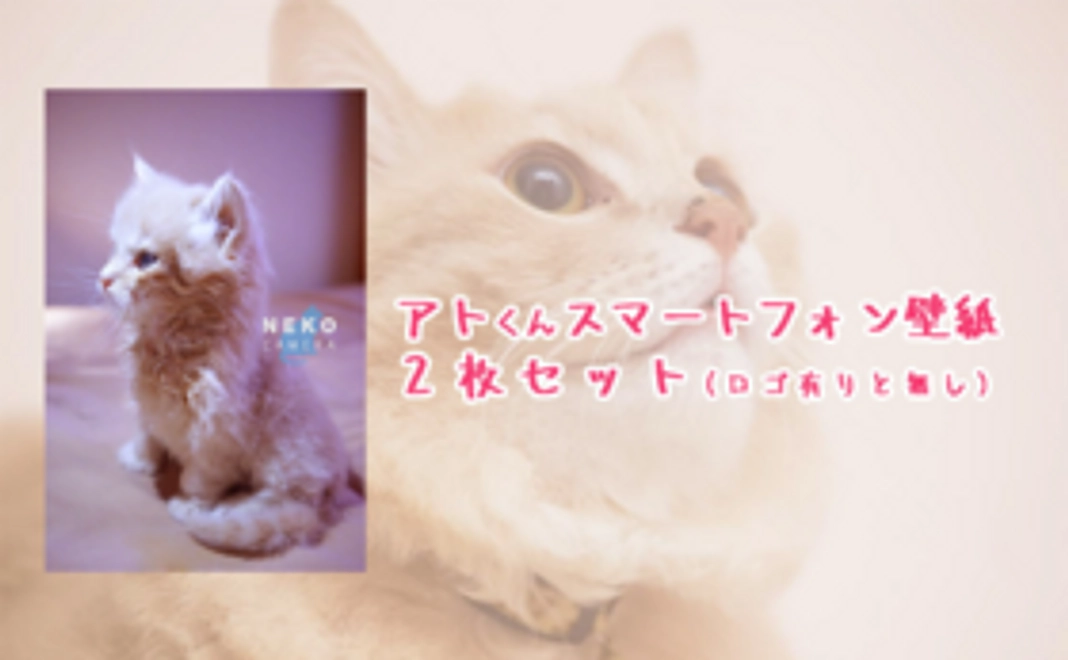 【アトくん応援コース-500】