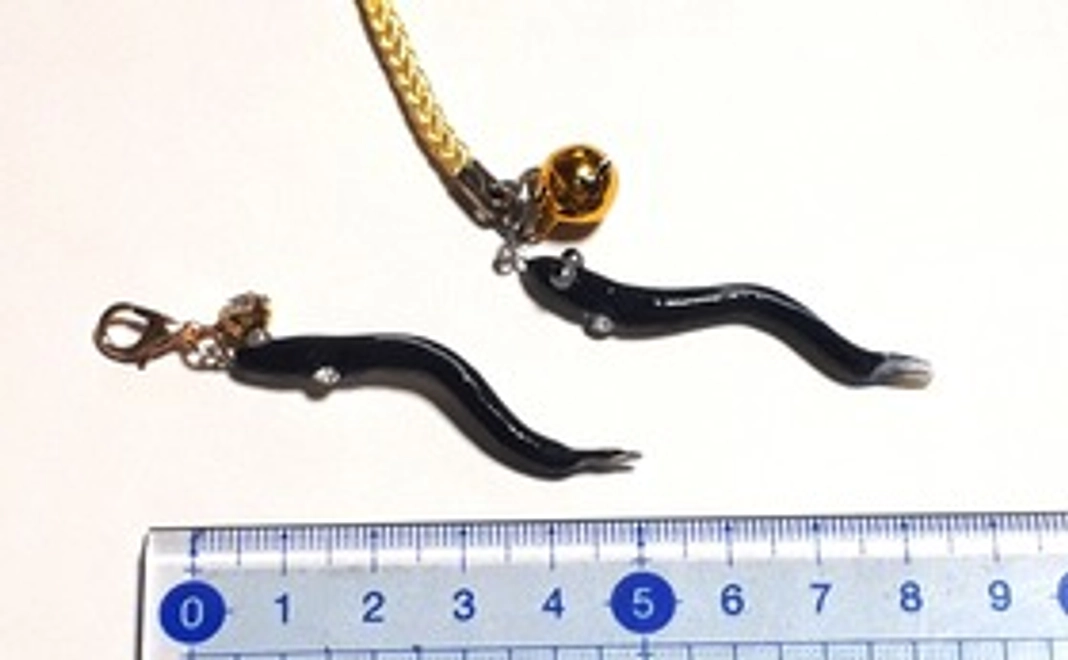 お礼のメッセージ + ミニうなぎチャーム