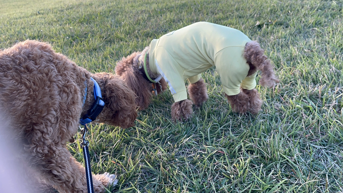 ℍ𝕒𝕡𝕡𝕪𝕓𝕚𝕣𝕥𝕙𝕕𝕒𝕪