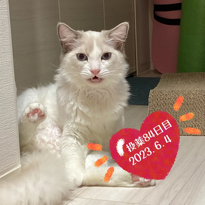 投薬８４日目(2023.6.4)