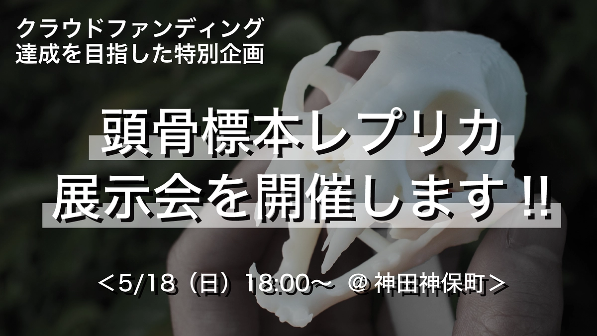 【残り3日】東京神田神保町で、実際にレプリカを触れる「頭骨標本レプリカ展示会」を開催します！