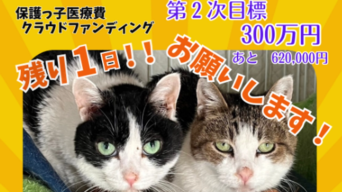 残り1日になりました！！