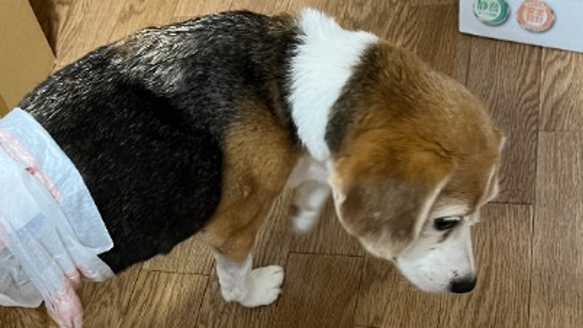 11/3 昨夜、X(旧Twitter)を見ていた方には大変お騒がせいたしましてすみませんでした！