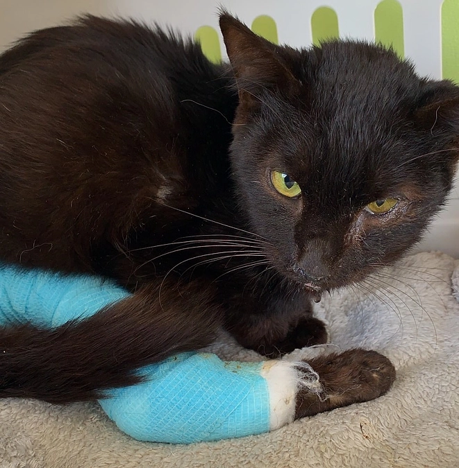 Storyセト④最後に感動的なエピソードが・・・