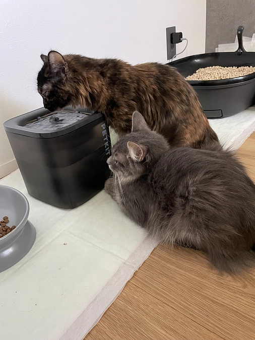 最終日です！現在84%😨