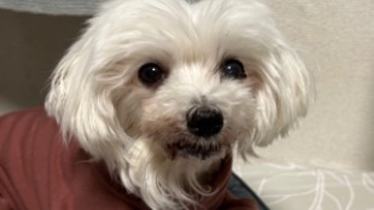 退院しました。術後１６日目