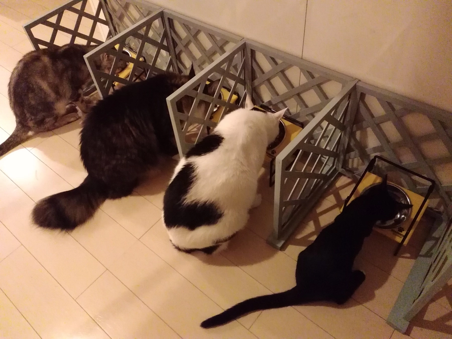 元気に育っています