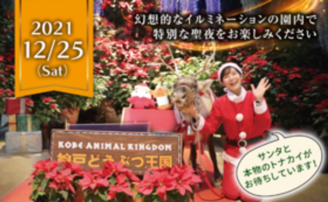 特別企画！クリスマスナイトご招待コース【12/25夜】