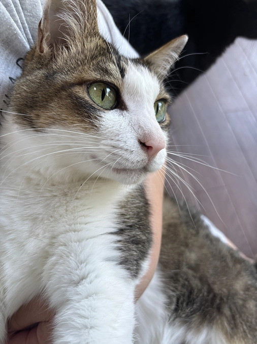 達成ありがとうございました