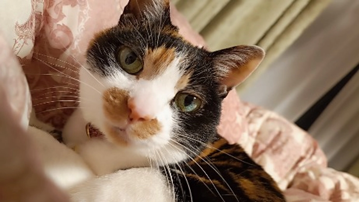 【Vol.10 4/14】リブの定期健診