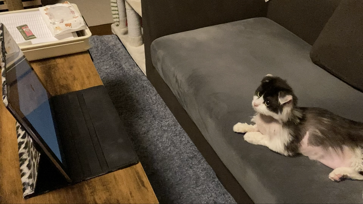 10/29のテオくんの様子