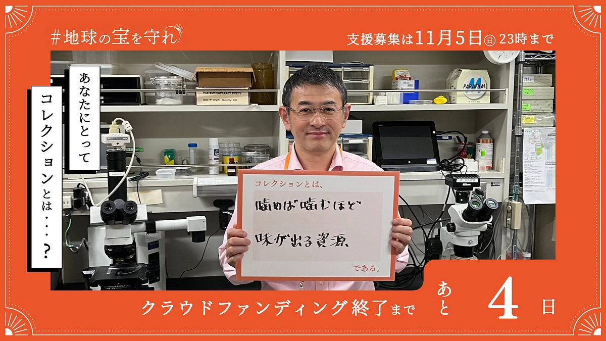 終了まであと4日