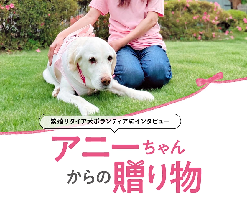 季刊誌　「ハーネス通信　7月号」（２０２３／０６／１９）