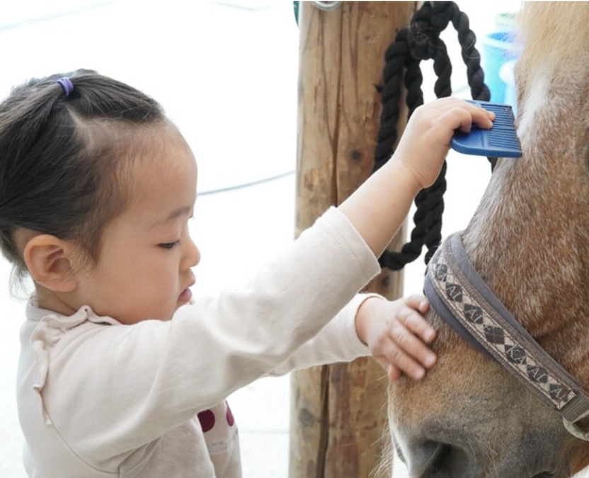 ご支援が50万円を超えました！