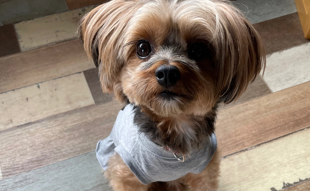 お気持ちコース