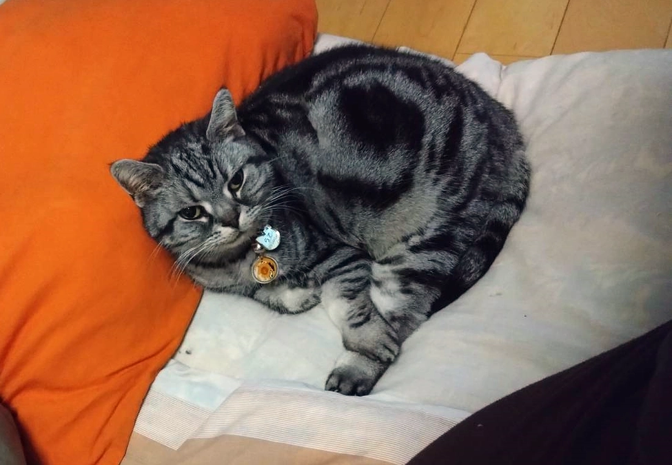 腹水の溜まるスピードが早い、と言われました……