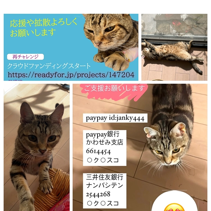 あと11日　48％達成です。お力を貸してください