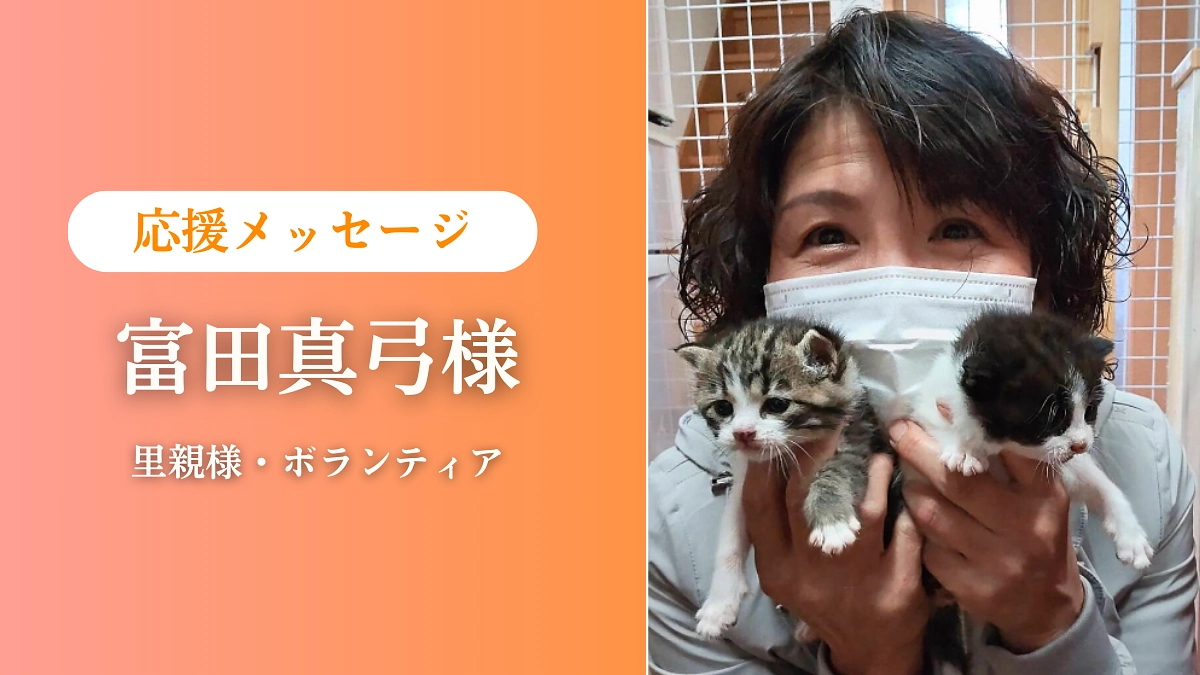 【支援者人数300人突破！】里親様・ボランティア 富田真弓様より応援コメントをいただいております！