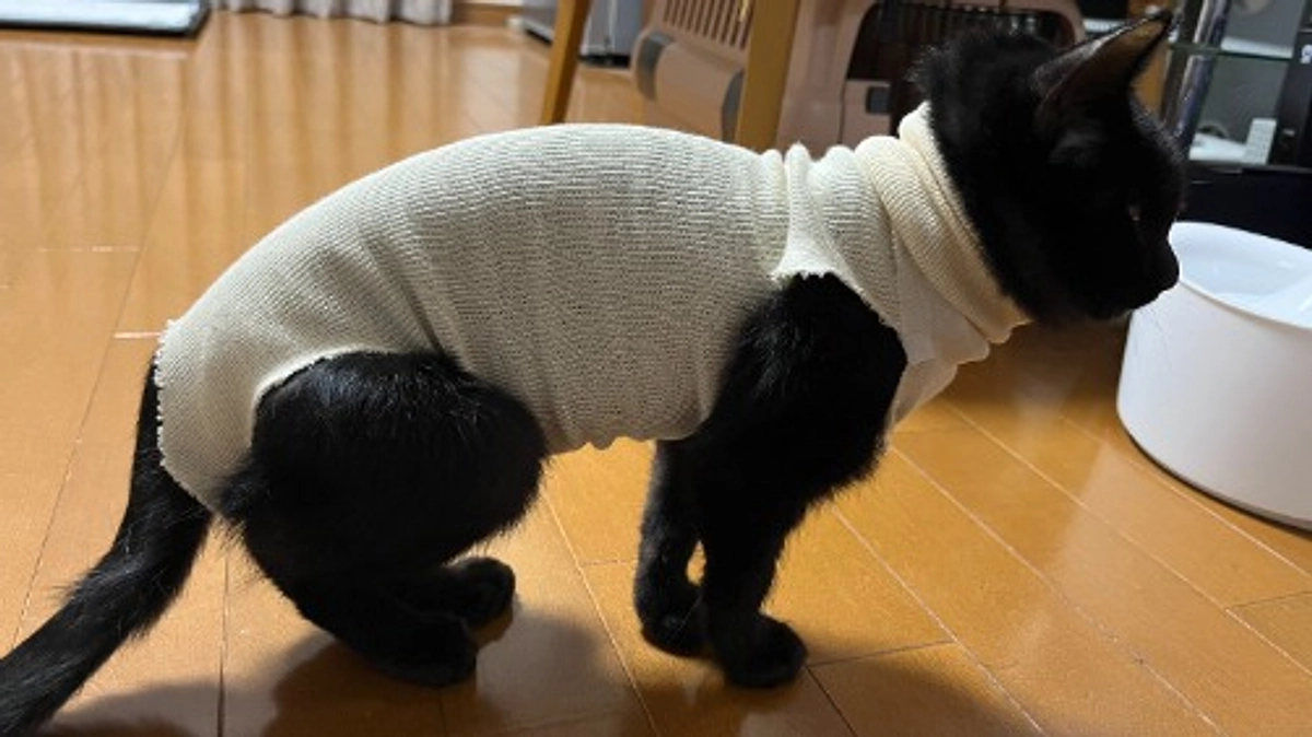 胃瘻チューブの除去手術が成功しました！！