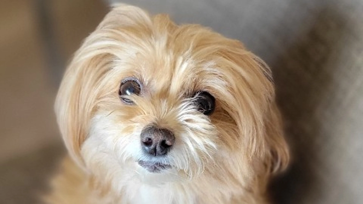 ご支援ありがとうございます！インスタも開設しました。