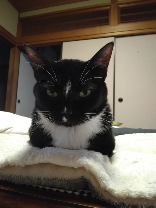 6/17はなちゃんの様子