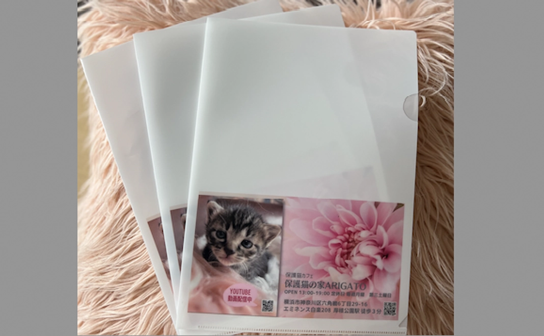 保護猫クリアファイルで応援!