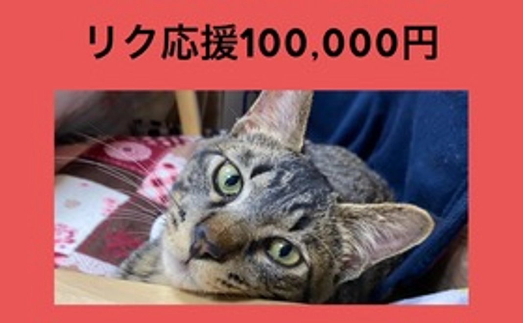 リク応援100,000円