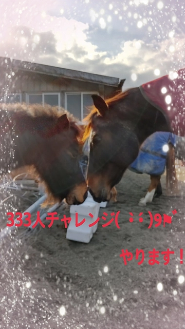 333人チャレンジ(  •̀ •́ )୨⚑︎゛やります‼️