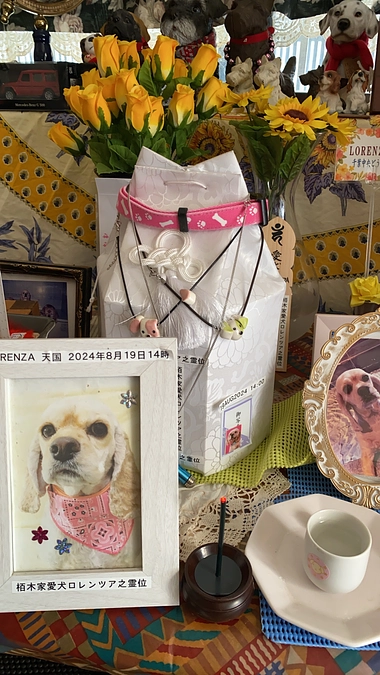 ロレンツアが居ないと元気が出ません