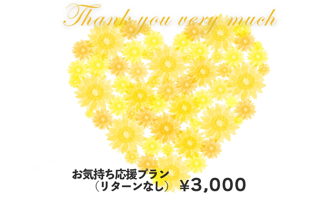 お気持ち応援プラン3000円(リターンなし)