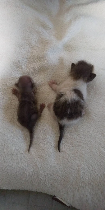 今期初のミルクちゃんたち🍼