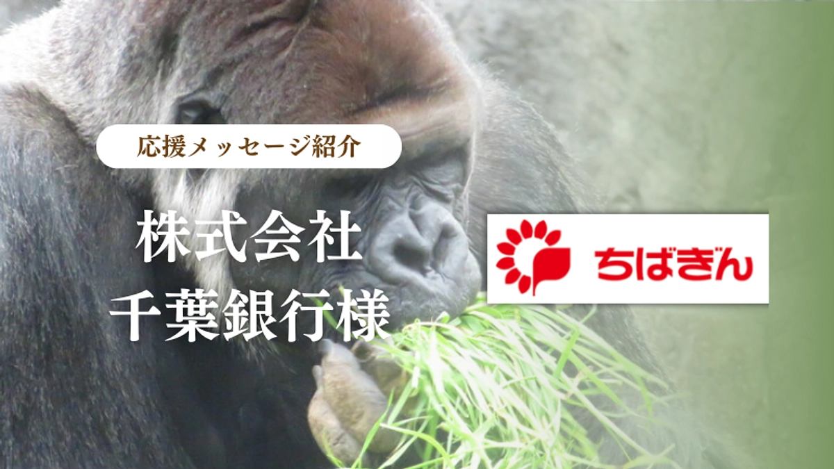 株式会社千葉銀行様からの応援メッセージのご紹介